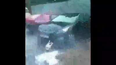 Super fucking crusty