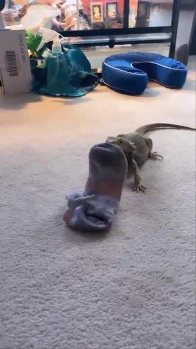 Dude is lost in sause 💀