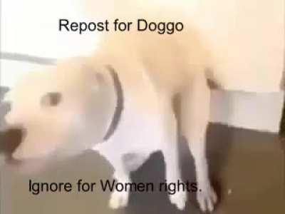 w*men🤮🤮🤮🤮