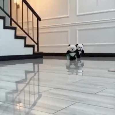 When dogs get Halloween costumes to dress up as another species.