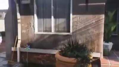 [Video] In an Alternative Universe