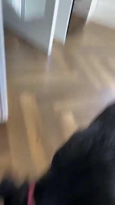 Think Penny got too warm