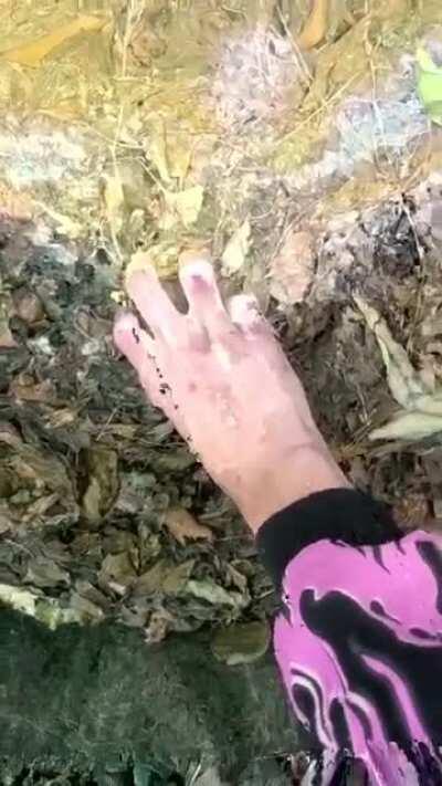 Datamoshing at its Finest