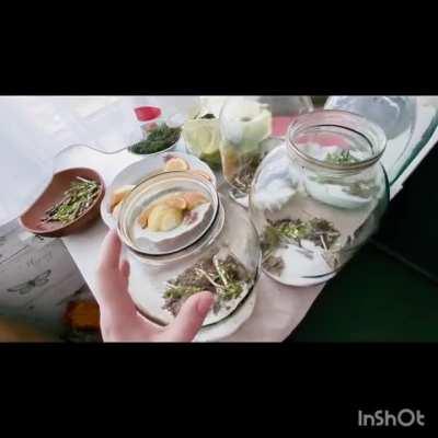 Hi Reddit!!! It's Saturday and I can't buy anything for the guys at the front... But I can close a couple of jars of birch sap compote :)))