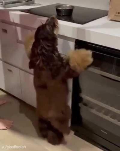 Come on, shake your body, do the conga