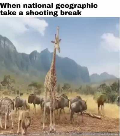 When National Geographic's camera crew takes a break