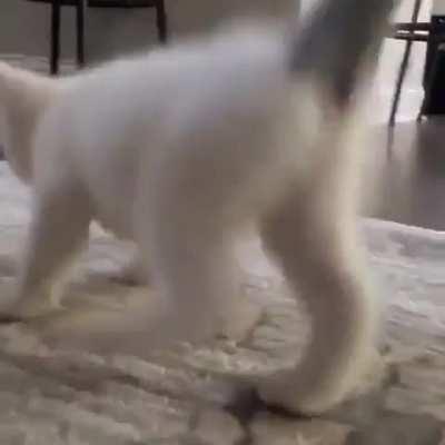 It's the first of the month