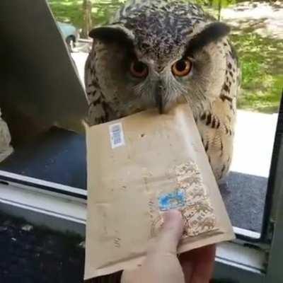 Don't look at me like that, I'll give you money later ...