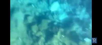 Guy records himself testing the durability of different phones on Youtube. This particular test recorded some pretty disturbing audio after he dropped an iPhone 11 into a hot spring. It sound like the screams of a dying person