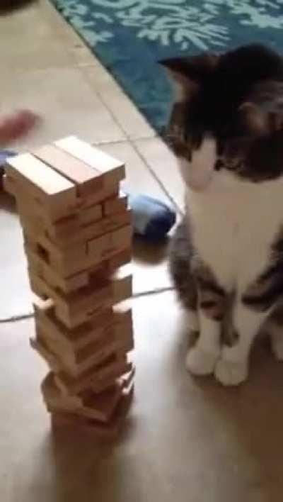 И не жалуется, что у него лапки