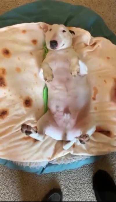 My compliments to the chef.