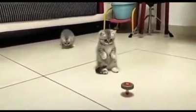 Noo, please don’t touch