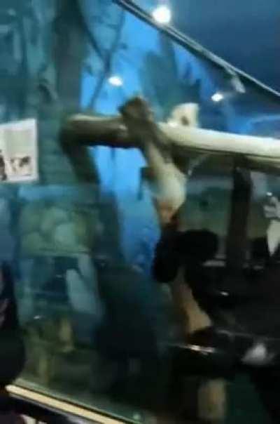 Харассмент