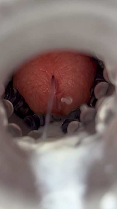 Shame this went to waste