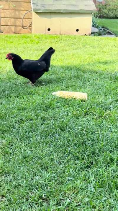 Help with balance please!