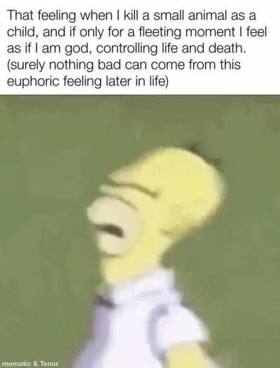 A perfectly normal life