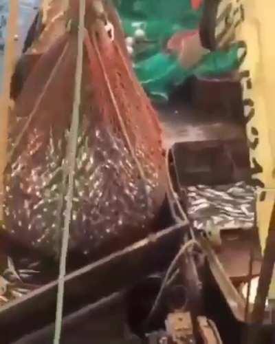 They’re going to need a bigger boat