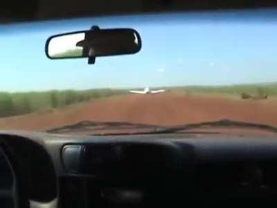 Brazil's Federal Police is wild