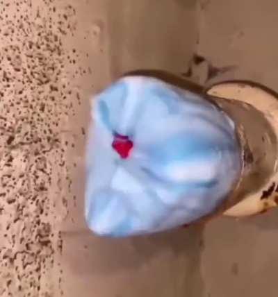 Me and your mom every night