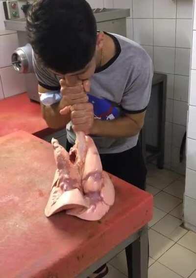 Those are some healthy lungs.