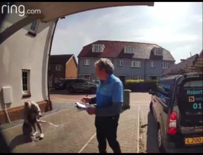 Lady save doggo from a serious injury or a possible death!