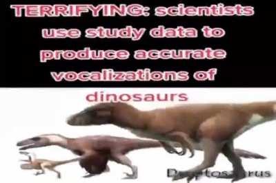 tu madre tiene una po