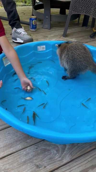 They're very slippery