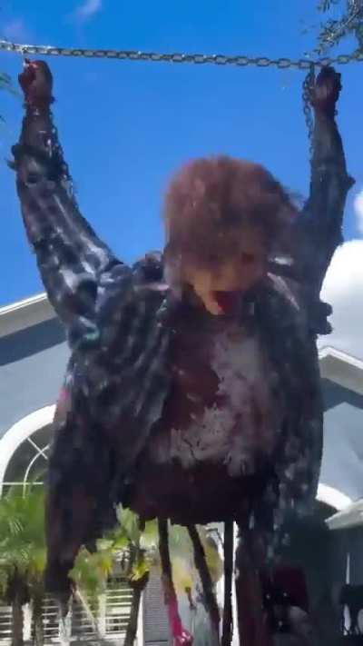 Imagine seeing this at night