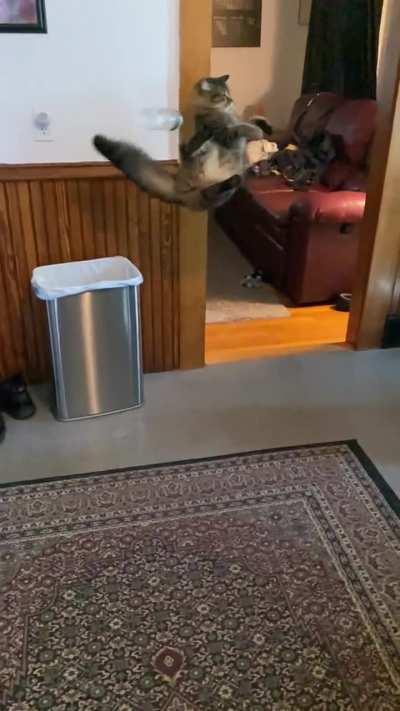 My boy giving me an assist with the garbage today!!