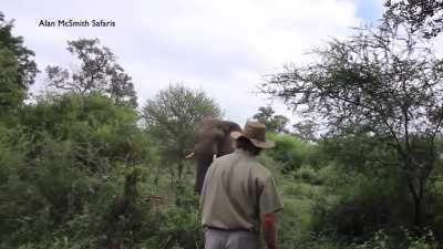 This guy manages to stop a charging elephant.