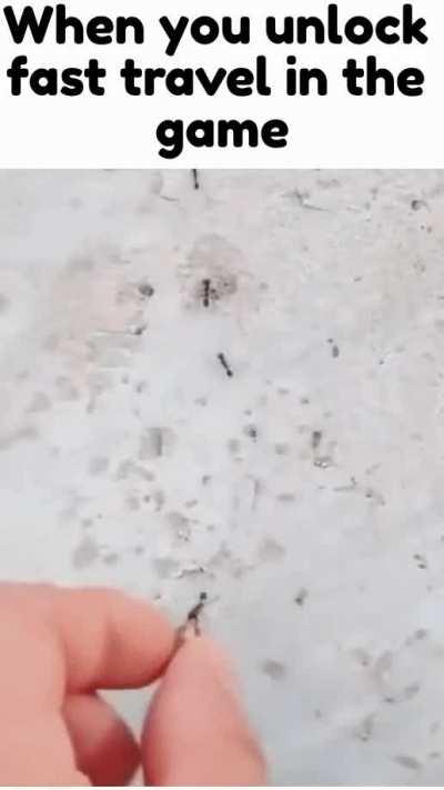 Ant was having the time of his life