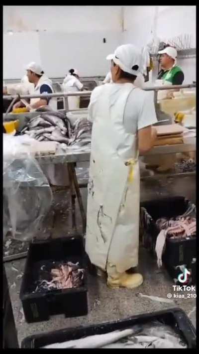 Charla política en una pescadería con plot twist