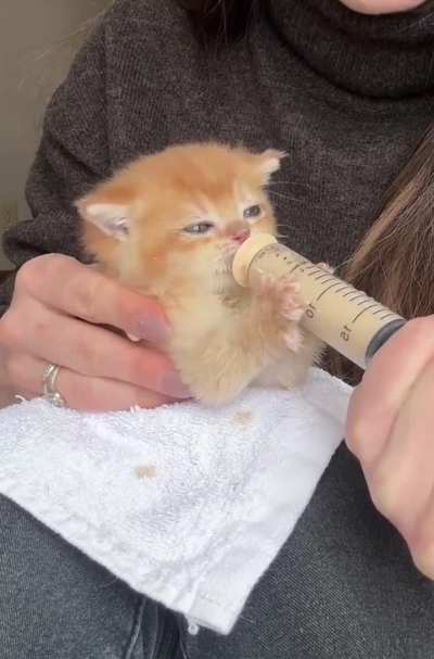 I can watch this all day 