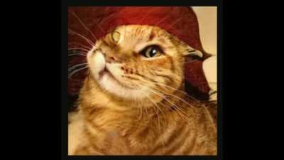 Vinny reacts viscerally to pandemic-era AI slop