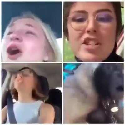 Twitter after Rittenhouse found not guilty