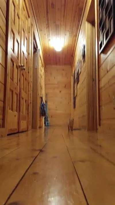 A new orange in the house for Christmas