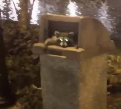 What'll it be, punk? (actual itemshop)