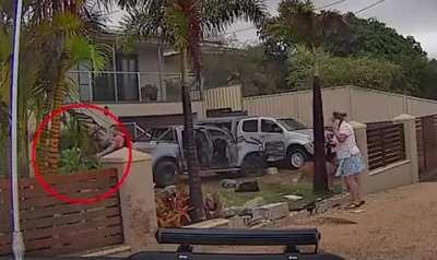 Ute and Occupant in a Hurry!