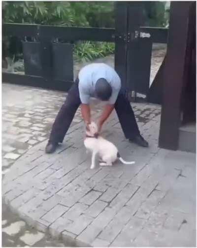 Watching your friend pet a dog