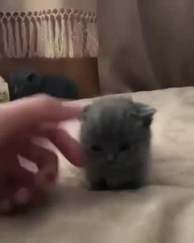 Someone told this fit here