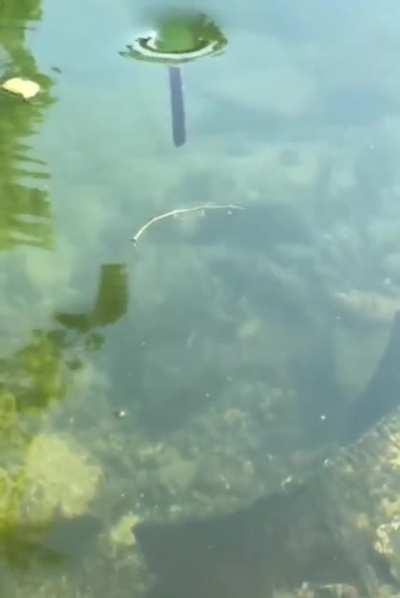 My stick people need me