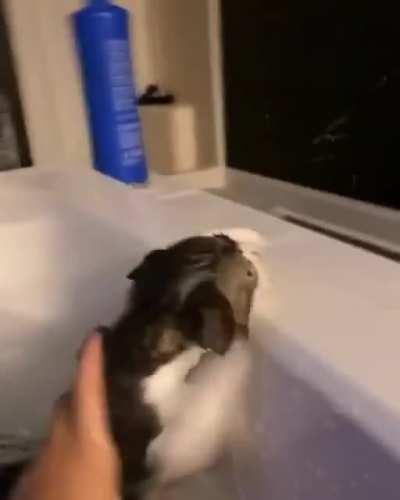 Susan this water is FAR to cold and WHO SOAPED THE SINK EDGE AGAIN!!!