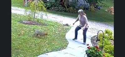 Everything changed when the firefox attacked...