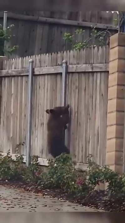 Get over here .. you too