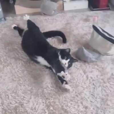 Unexpected warmth, CatPU halted