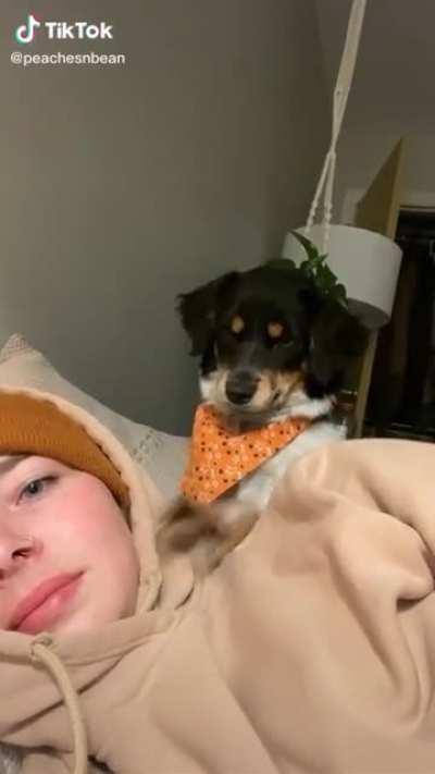 This pup just wanted to give more kisses