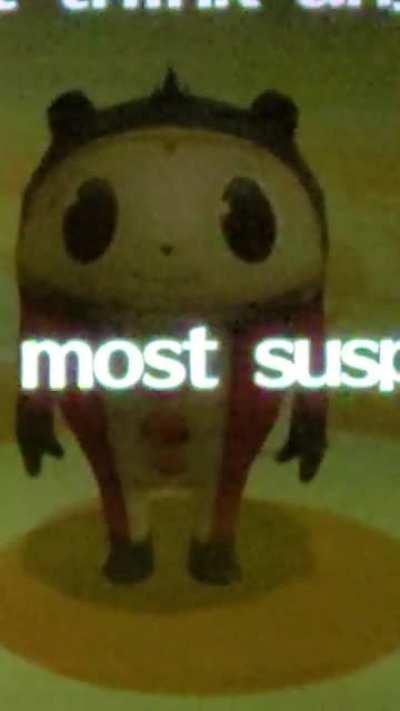 high quality imposter teddy