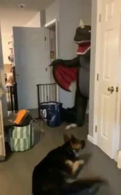 HMK while I guard the house