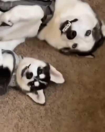 How similar they are...