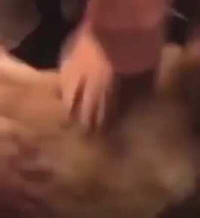 Doggo getting grouped on